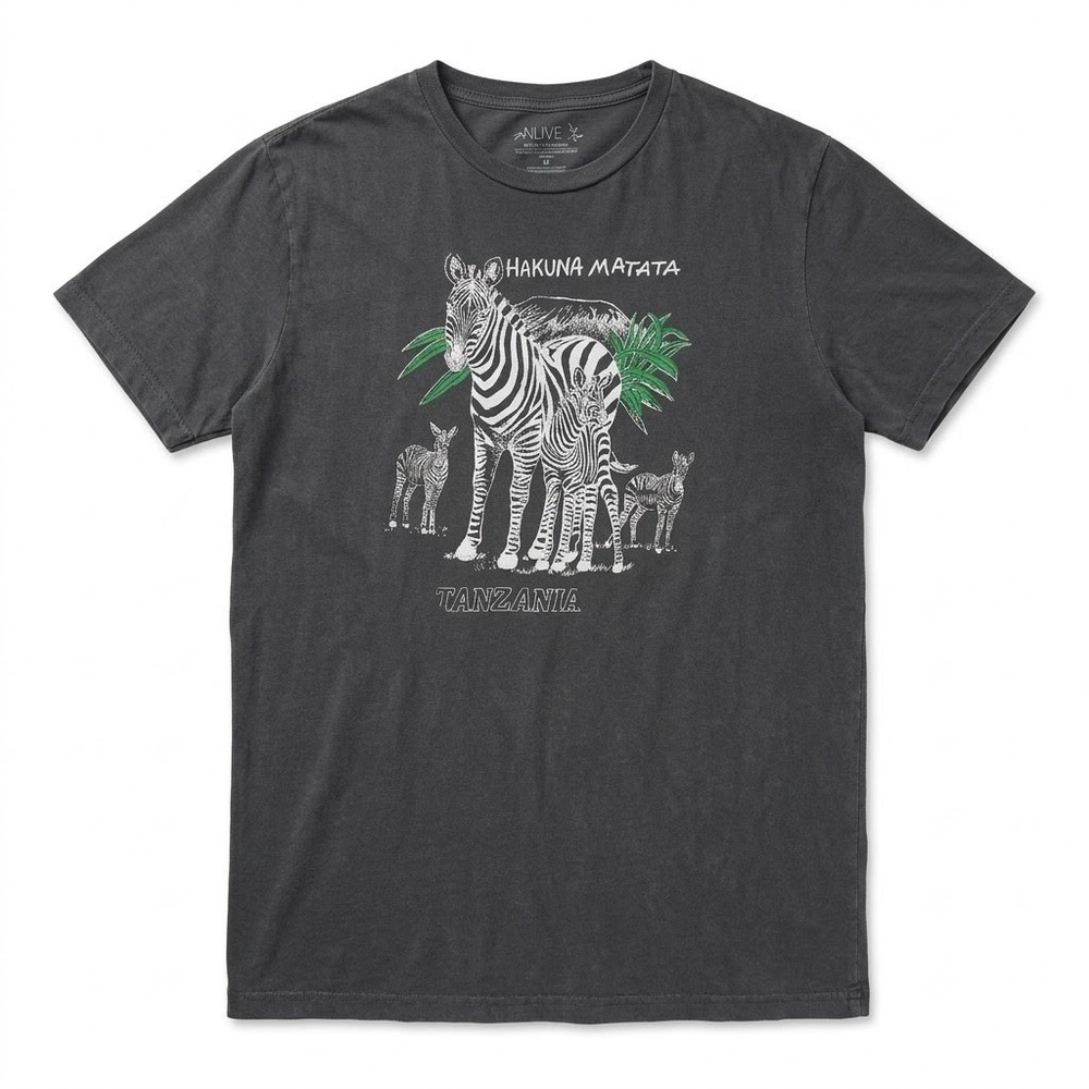 Edun Live Mens Hakuna Matata Tanzania Zebra Graphic T-Shirt Charcoal Grey Large